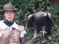 Steinadler 085